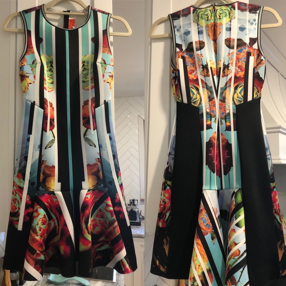 ‼️LOWEST ‼️ LAST CHANCE ‼️ Clover Canyon scuba fluted dress